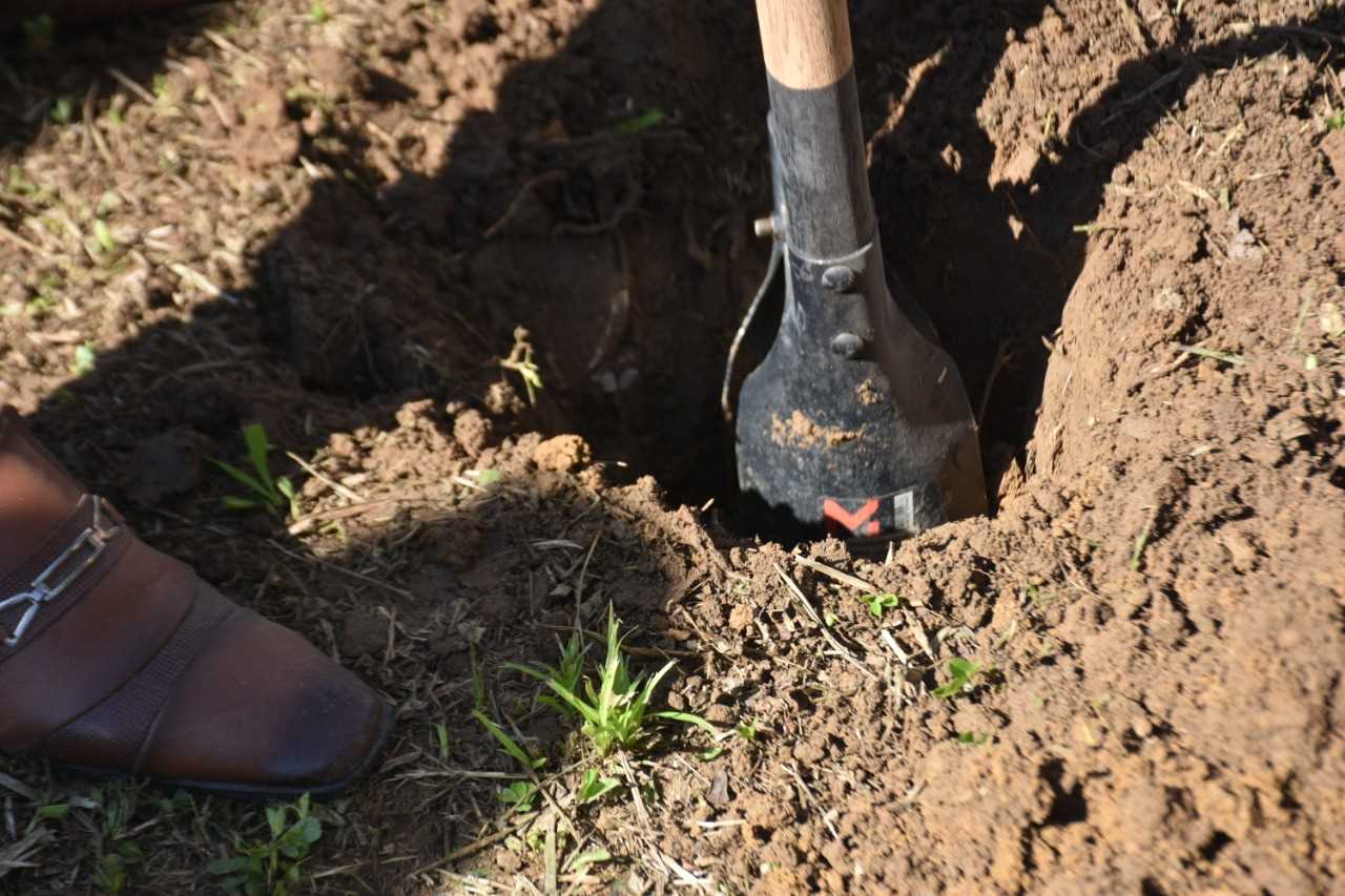 Camacã: Secretaria de Agricultura e Meio Ambiente em parceria com o Lions Clube e Maçonaria, realizam plantio de árvores e homenageia o empresário Eds